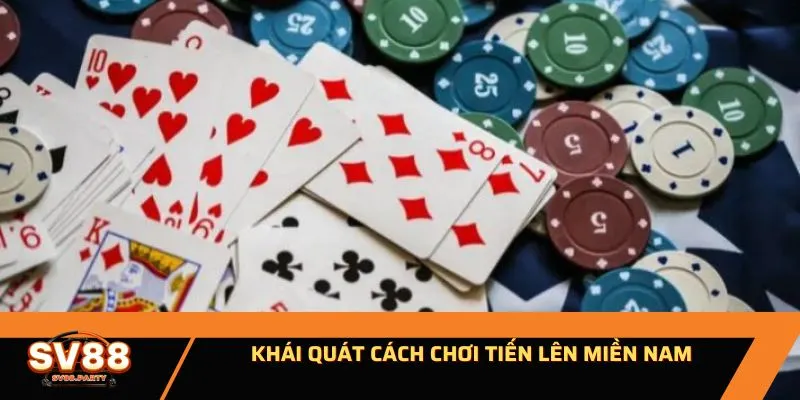 Khám phá thuật ngữ được sử dụng