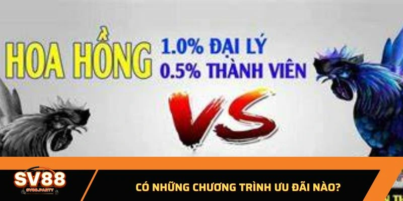 Quy trình đăng ký đại lý